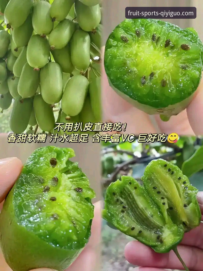 奇异果体育实时资讯常见问题 奇异果体育平台实时资讯功能使用教程:从入门到精通