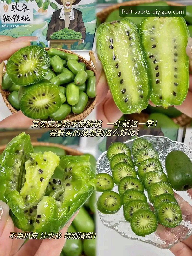 奇异果体育登录入口全面对比分析：多维度深度解析平台差异与使用策略