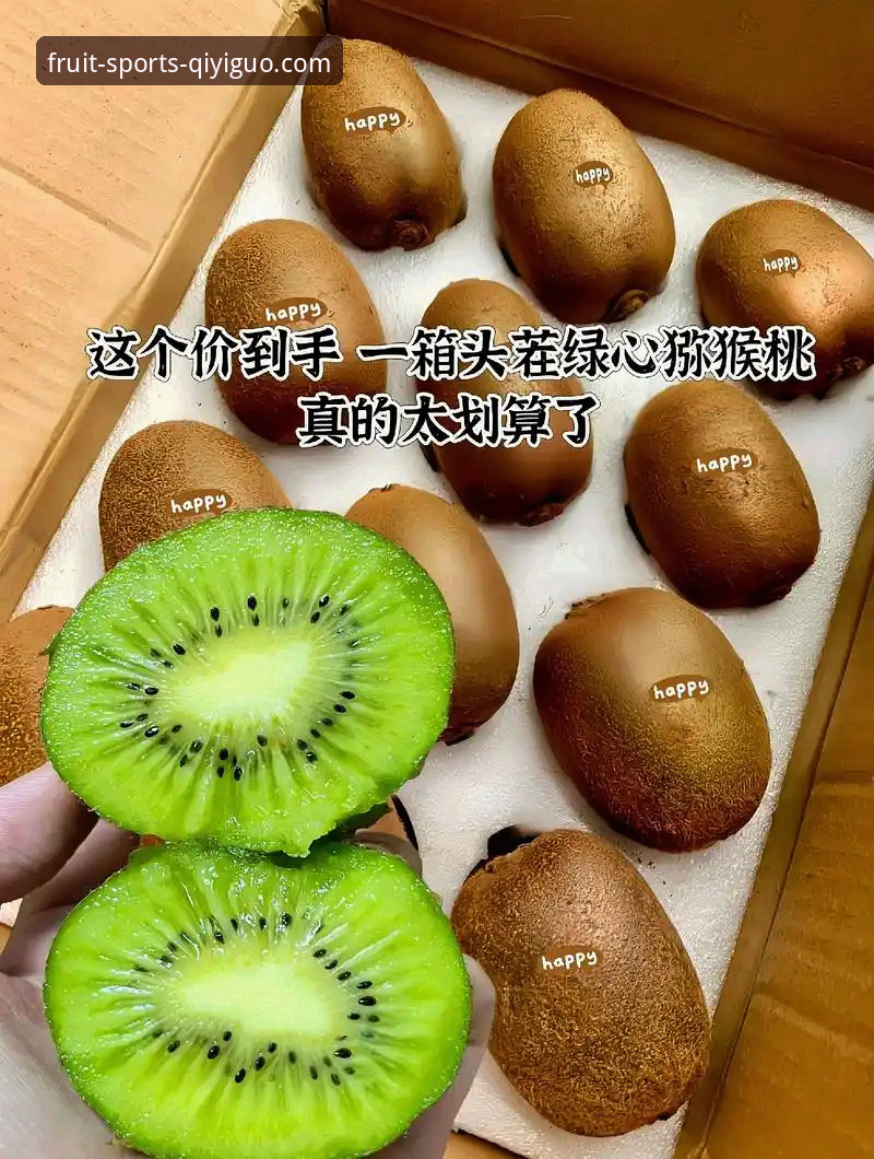 奇异果体育登录入口全面对比分析：多维度深度解析平台差异与使用策略